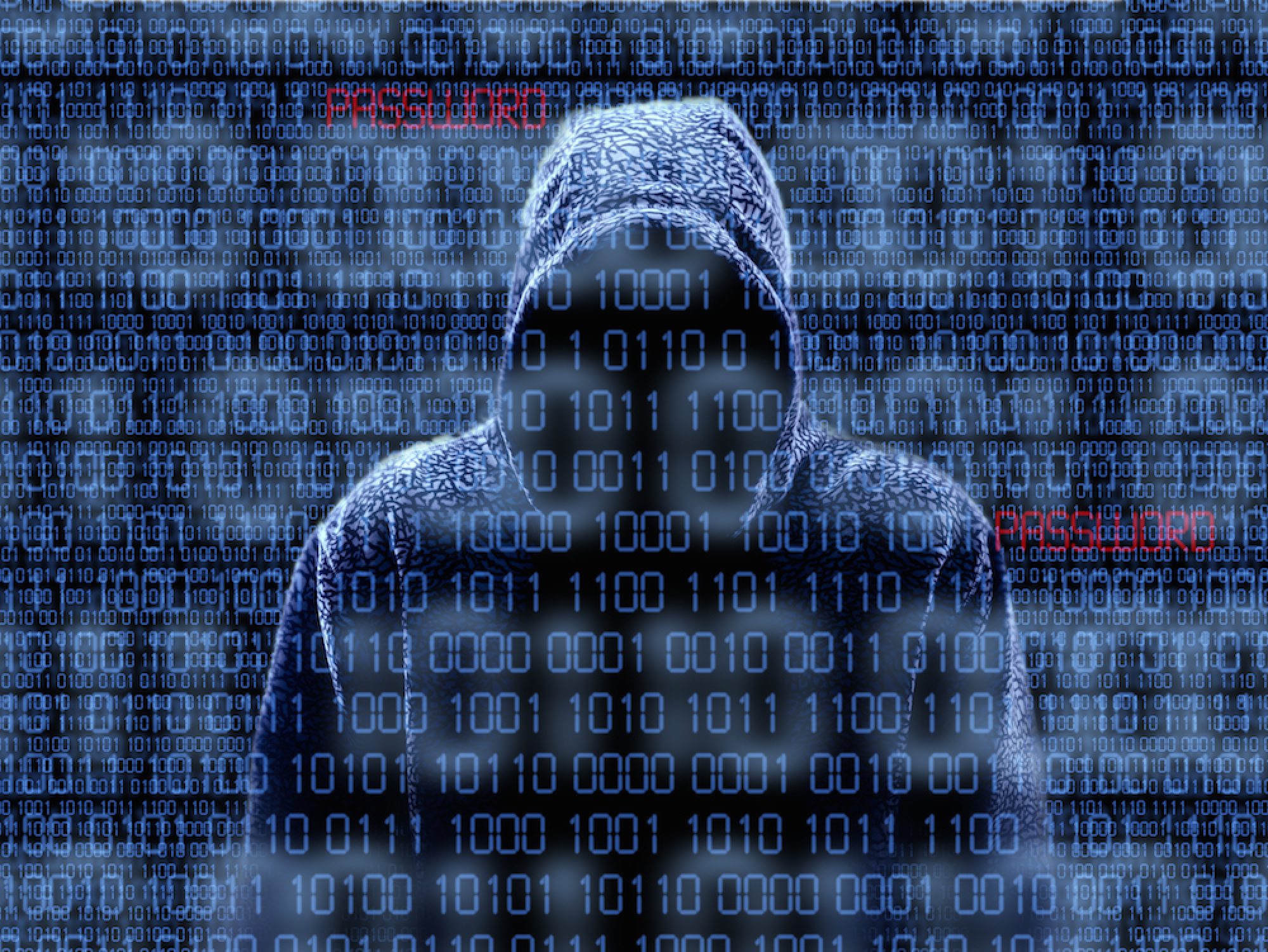 Really Warped! Tales from the Dark Web